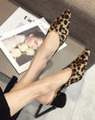 Leopard / 34