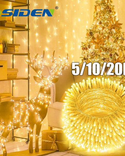 LED Christmas Lights