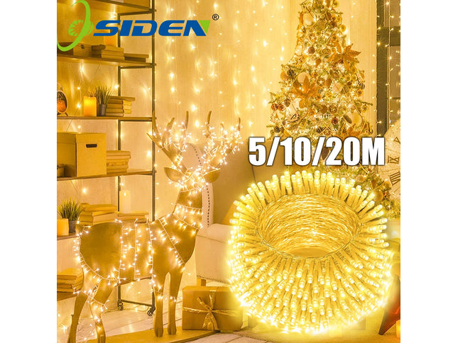 LED Christmas Lights