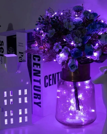 Battery Powered 10/20/30/50/100LEDs String Lights