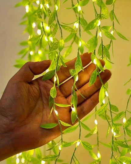 20/50/100LEDS Always on Battery Box Willow light