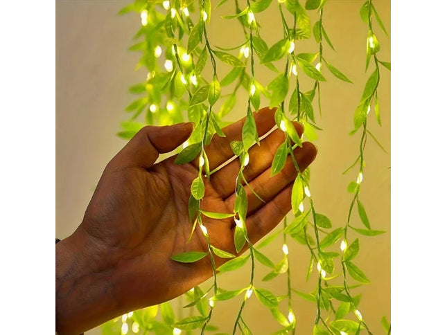 20/50/100LEDS Always on Battery Box Willow light