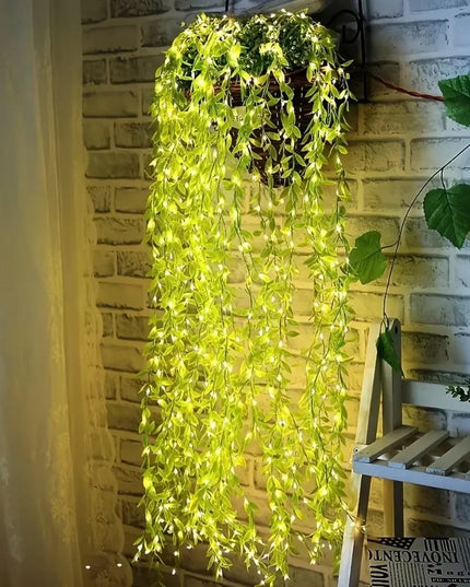 20/50/100LEDS Always on Battery Box Willow light