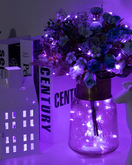 Battery Powered 10/20/30/50/100LEDs String Lights