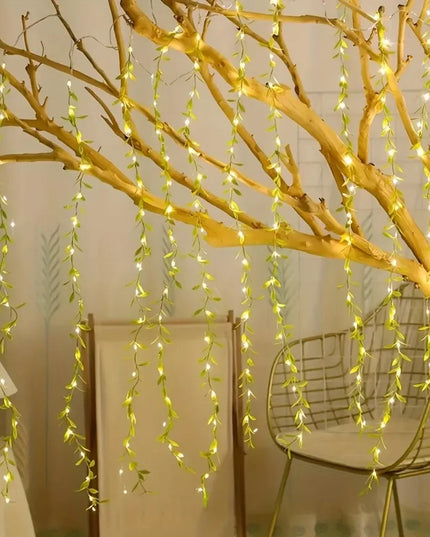 20/50/100LEDS Always on Battery Box Willow light