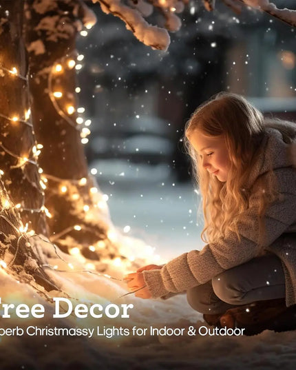 LED Christmas Lights