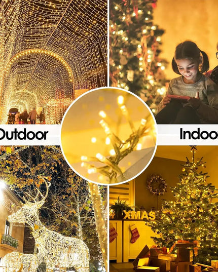 LED Christmas Lights
