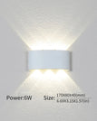 6W White / Cold White