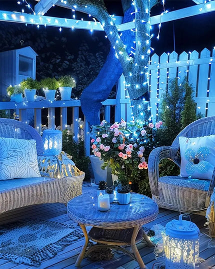 LED Christmas Lights
